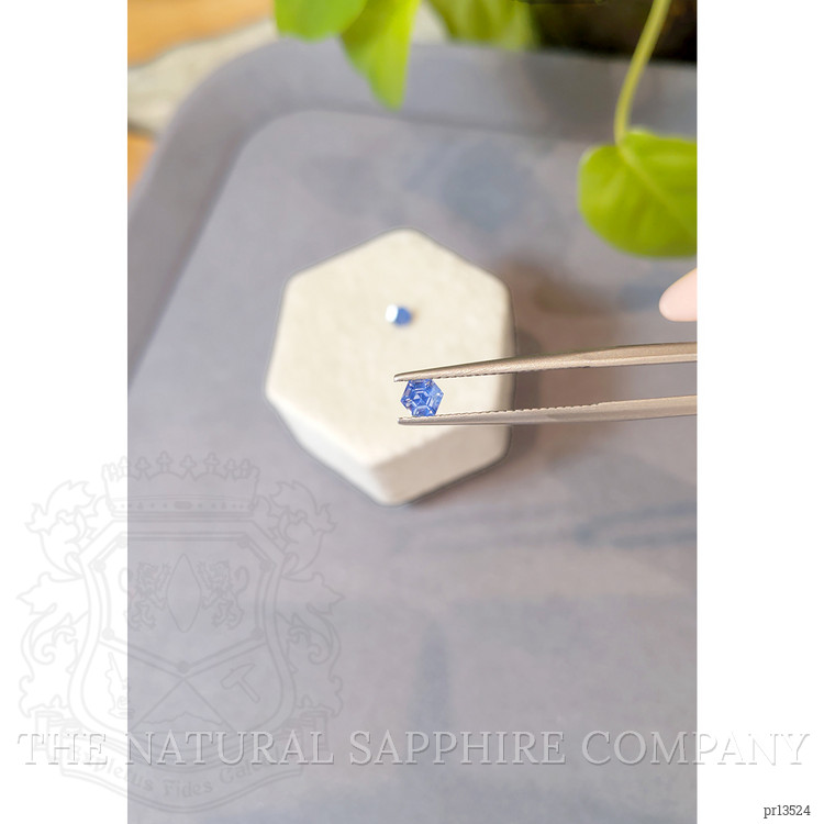 0.71 Ct.Tw. Blue Sapphire Pair from Ceylon (Sri Lanka)