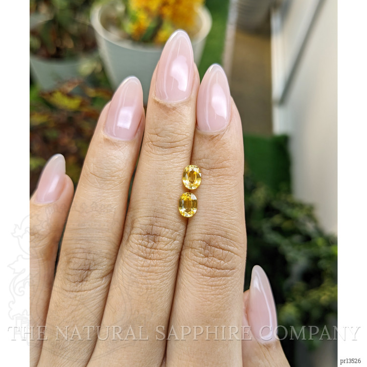 1.44 Ct.Tw. Yellow Sapphire Pair from Ceylon (Sri Lanka)
