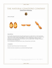 7.32&nbsp;Ct.Tw.Total Carat Weight Hessonite Garnet Pair from Madagascar Appraisal