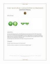 0.61 Ct.Tw.Total Carat Weight Tsavorite Garnet Pair from Madagascar Appraisal