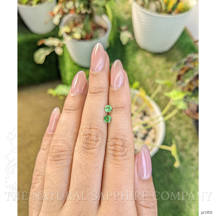 0.61 Ct.Tw. Tsavorite Garnet Pair from Madagascar