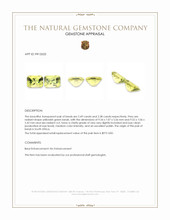 4.87&nbsp;Ct.Tw.Total Carat Weight Beryl Pair from South Africa Appraisal