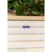 2.04 Ct.Tw.Total Carat Weight Purplish Blue Iolite Pair from Madagascar Life Style
