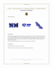 1.01 Ct.Tw.Total Carat Weight Violetish Blue Tanzanite Pair from Tanzania Appraisal
