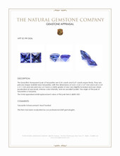 1.01 Ct.Tw.Total Carat Weight Violetish Blue Tanzanite Pair from Tanzania Appraisal