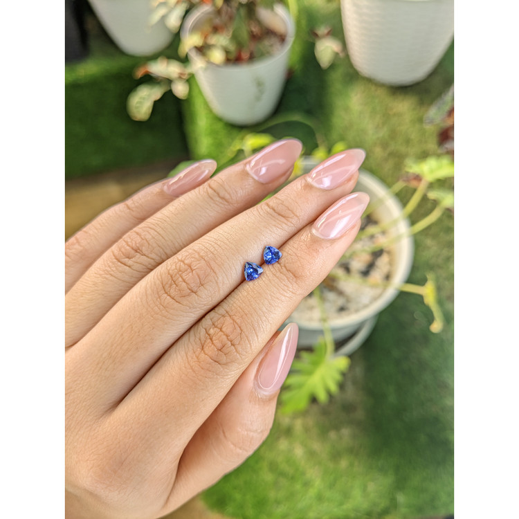 0.61 Ct.Tw. Tanzanite Pair from Tanzania