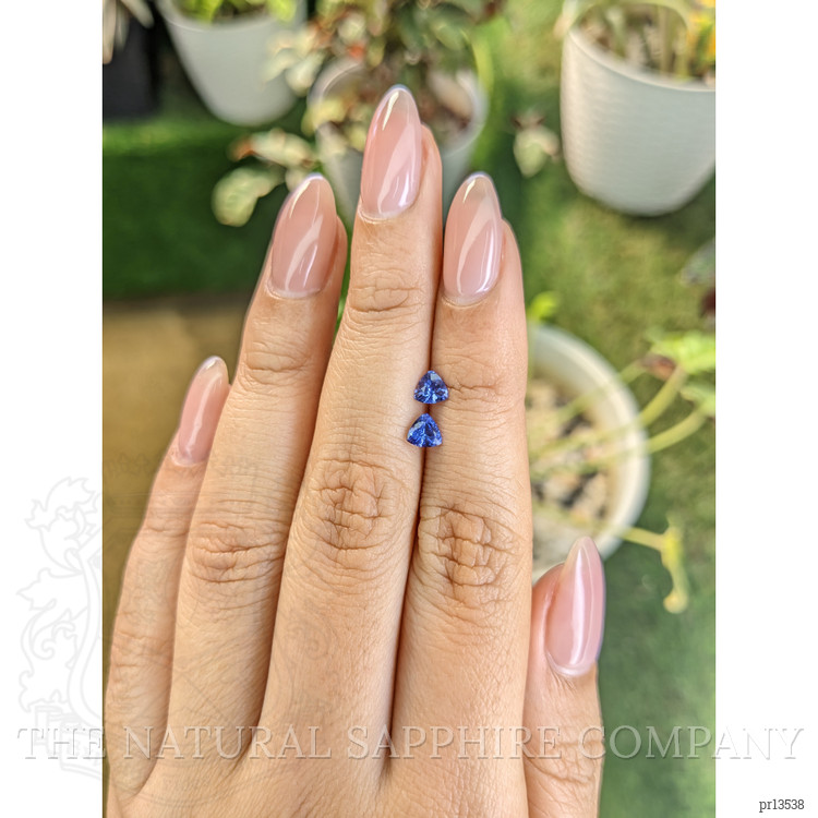 0.61 Ct.Tw. Tanzanite Pair from Tanzania