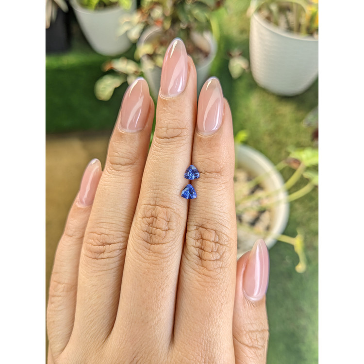 0.61 Ct.Tw. Tanzanite Pair from Tanzania