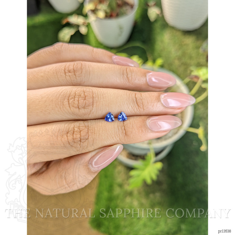 0.61 Ct.Tw. Tanzanite Pair from Tanzania