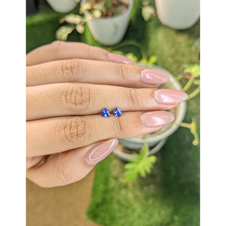 0.61 Ct.Tw. Tanzanite Pair from Tanzania