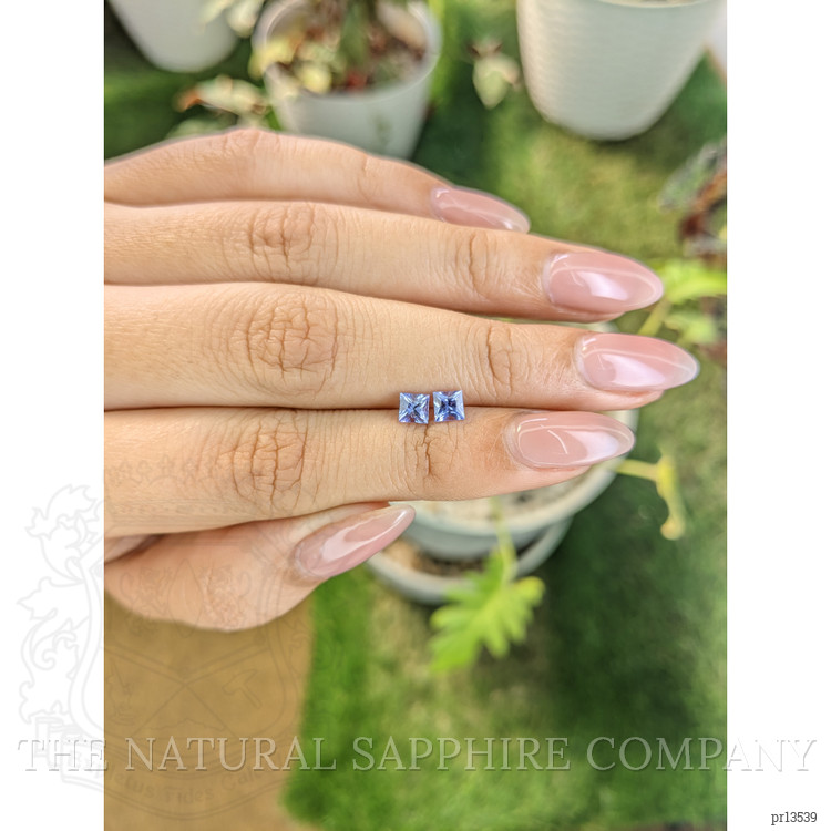 0.74 Ct.Tw. Tanzanite Pair from Tanzania