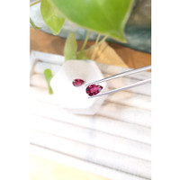 3.75 Ct.Tw.Total Carat Weight Rubellite Tourmaline Pair from Brazil Life Style