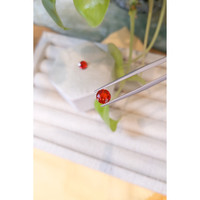 1.21&nbsp;Ct.Tw.Total Carat Weight Opal Pair from Mexico Life Style