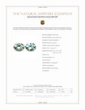 Jewelry Scan Report