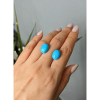 13.15&nbsp;Ct.Tw.Total Carat Weight Blue Cabochon Turquoise Pair from USA Life Style