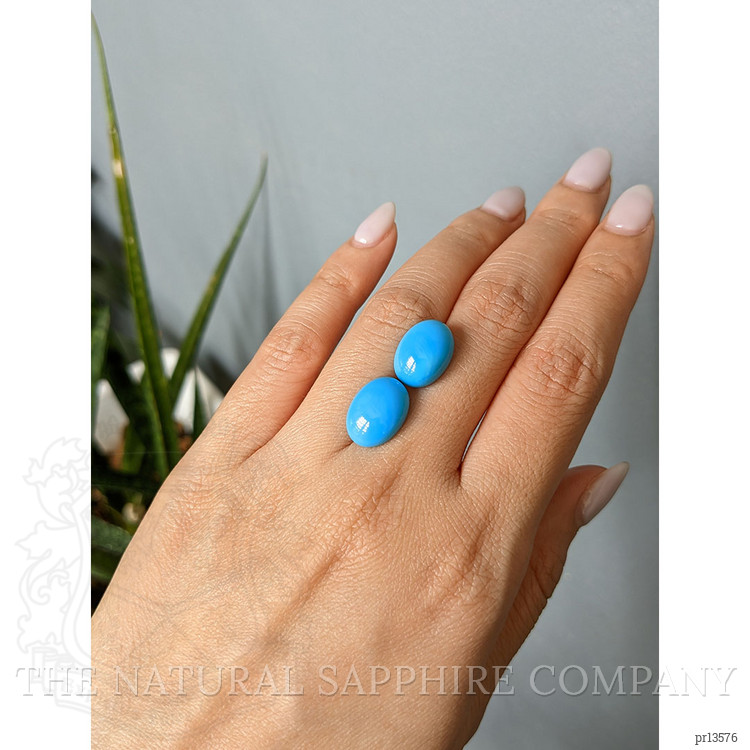 13.15 Ct.Tw. Blue Cabochon Turquoise Pair from USA