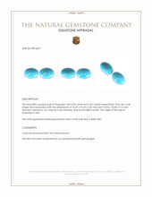 11.00 Ct.Tw.Total Carat Weight Cabochon Turquoise Pair from USA Appraisal