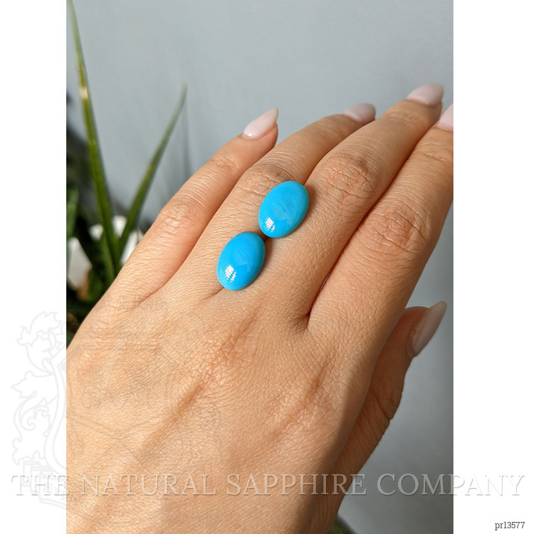 11.00 Ct.Tw. Blue Cabochon Turquoise Pair from USA