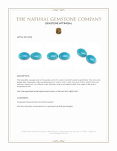 10.90 Ct.Tw.Total Carat Weight Cabochon Turquoise Pair from USA Appraisal