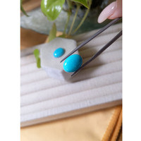 10.90&nbsp;Ct.Tw.Total Carat Weight Cabochon Turquoise Pair from USA Life Style