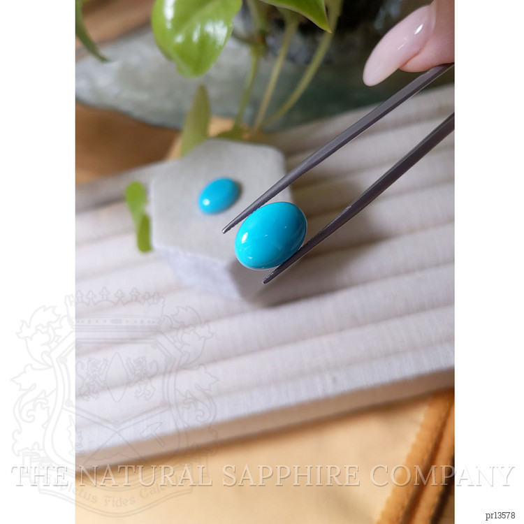 10.90 Ct.Tw. Cabochon Turquoise Pair from USA