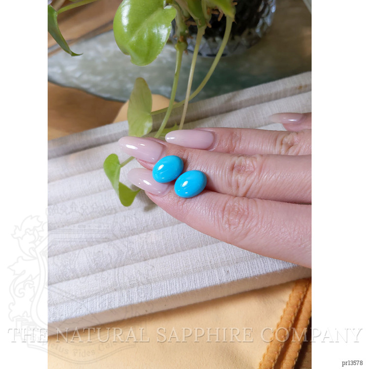 10.90 Ct.Tw. Cabochon Turquoise Pair from USA