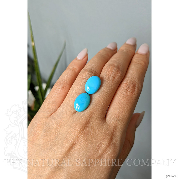 9.38 Ct.Tw. Blue Cabochon Turquoise Pair from USA