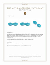 9.92 Ct.Tw.Total Carat Weight Cabochon Turquoise Pair from USA Appraisal