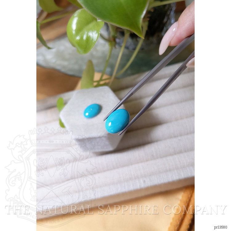 9.92 Ct.Tw. Blue Cabochon Turquoise Pair from USA