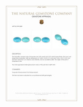 10.50&nbsp;Ct.Tw.Total Carat Weight Cabochon Turquoise Pair from USA Appraisal