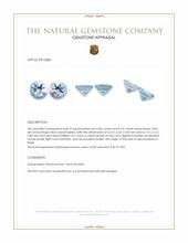 1.42&nbsp;Ct.Tw.Total Carat Weight Aquamarine Pair from Brazil Appraisal