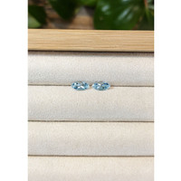 0.88&nbsp;Ct.Tw.Total Carat Weight Aquamarine Pair from Brazil Life Style