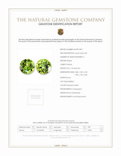 3.95&nbsp;Ct.Tw.Total Carat Weight Yellowish Green Peridot Pair from Burma (Myanmar) Scan Report