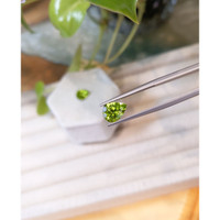 3.62&nbsp;Ct.Tw.Total Carat Weight Yellowish Green Peridot Pair from Burma (Myanmar) Life Style