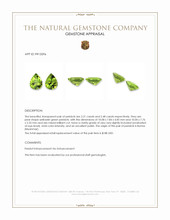 4.69 Ct.Tw.Total Carat Weight Peridot Pair from Burma (Myanmar) Appraisal