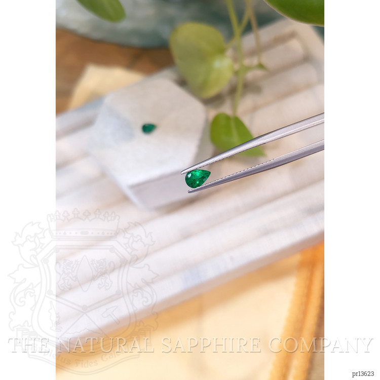 0.87 Ct.Tw. Emerald Pair from Zambia