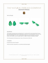 0.64 Ct.Tw.Total Carat Weight Emerald Pair from Zambia Appraisal