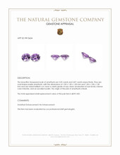 9.90 Ct.Tw.Total Carat Weight Purple Amethyst Pair from Africa Appraisal