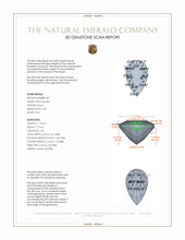 Jewelry 3 D Scan Report
