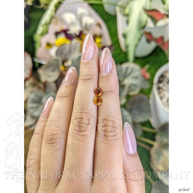 0.87 Ct.Tw. Citrine Pair from Ceylon (Sri Lanka)