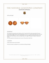 0.99 Ct.Tw.Total Carat Weight Orange Citrine Pair from Ceylon (Sri Lanka) Appraisal