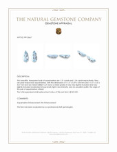 2.65&nbsp;Ct.Tw.Total Carat Weight Blue Aquamarine Pair from Brazil Appraisal