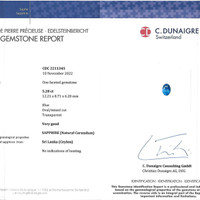 10.96 Ct.Tw.Total Carat Weight Blue Sapphire Pair from Ceylon (Sri Lanka) Scan Report