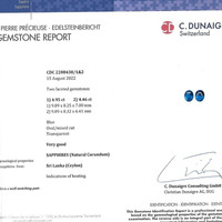 Jewelry Scan Report