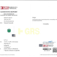 14.03 Ct.Tw.Total Carat Weight Emerald Pair from Colombia - Muzo Scan Report
