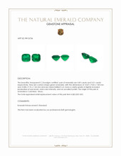 9.84 Ct.Tw.Total Carat Weight Emerald Pair from Colombia - Muzo Appraisal