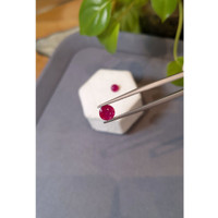 2.49 Ct.Tw.Total Carat Weight Purplish Red Ruby Pair from Mozambique Life Style