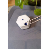 0.83&nbsp;Ct.Tw.Total Carat Weight Blue Sapphire Pair from Ceylon (Sri Lanka) Life Style