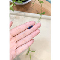 1.90&nbsp;Ct.Tw.Total Carat Weight Blue Sapphire Pair from Ceylon (Sri Lanka) Life Style