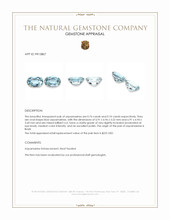 1.48 Ct.Tw.Total Carat Weight Blue Aquamarine Pair from Brazil Appraisal